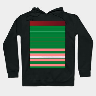 Red, Pink and Green Stripes Hoodie